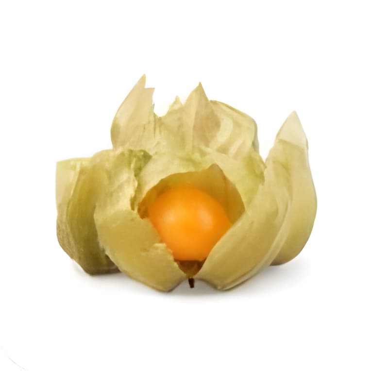 Altın Çilek